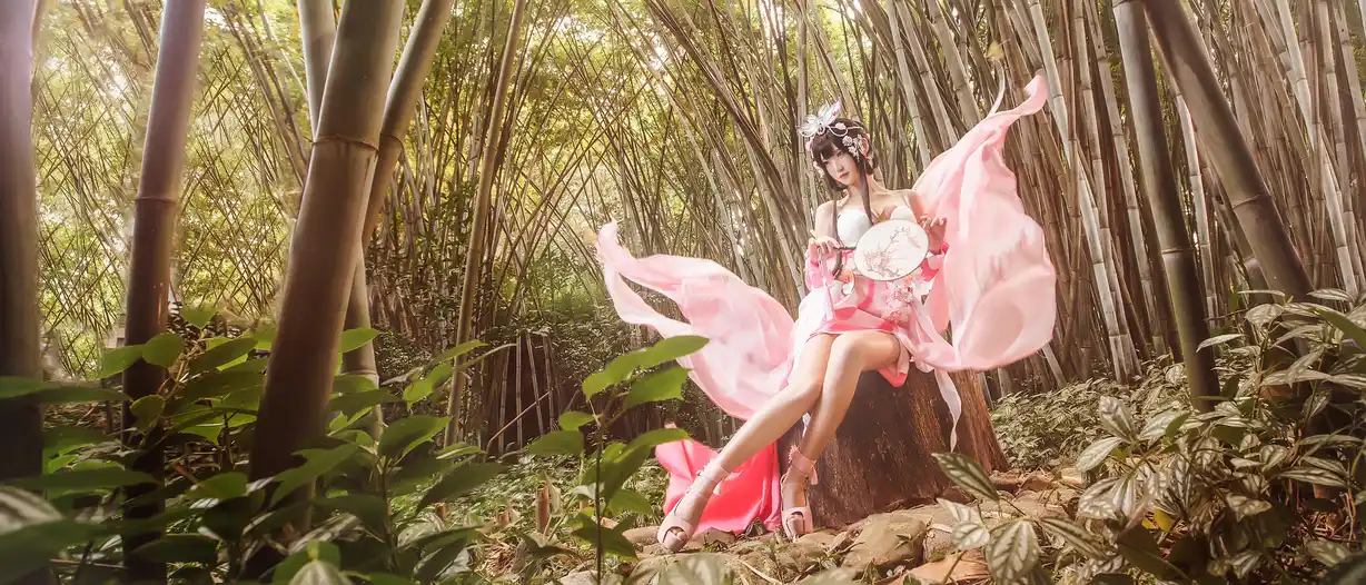 甄姬 [9P]