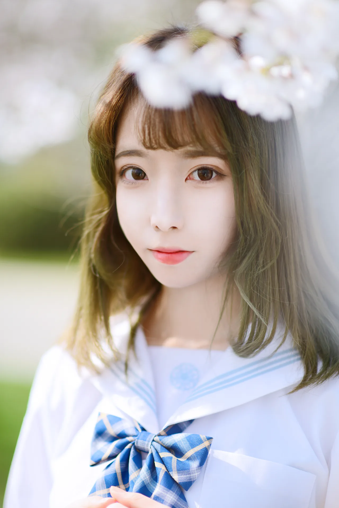 樱花树下 [41P]