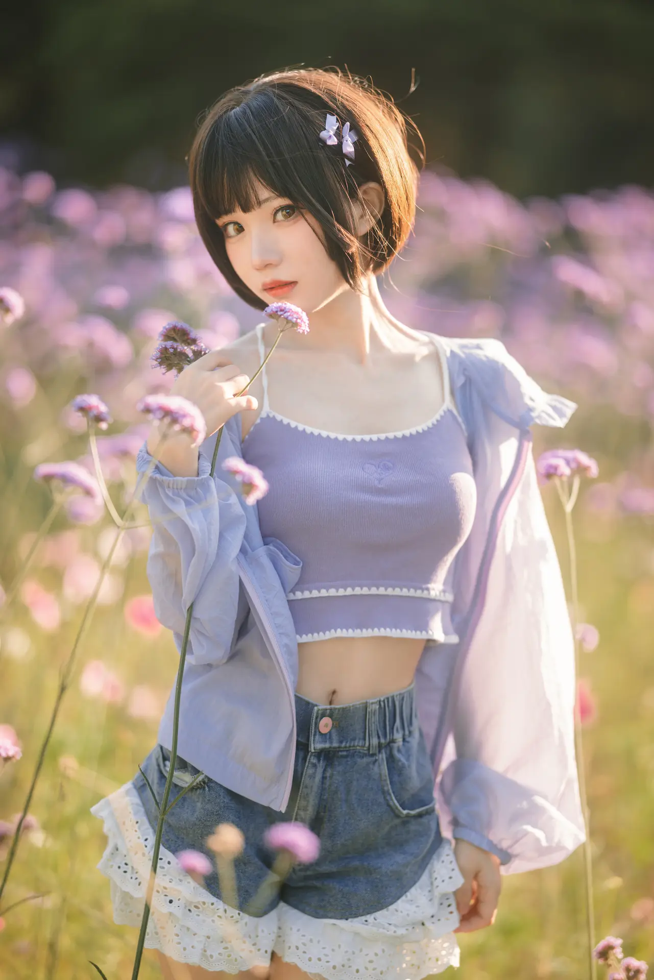 马鞭草 [15P]