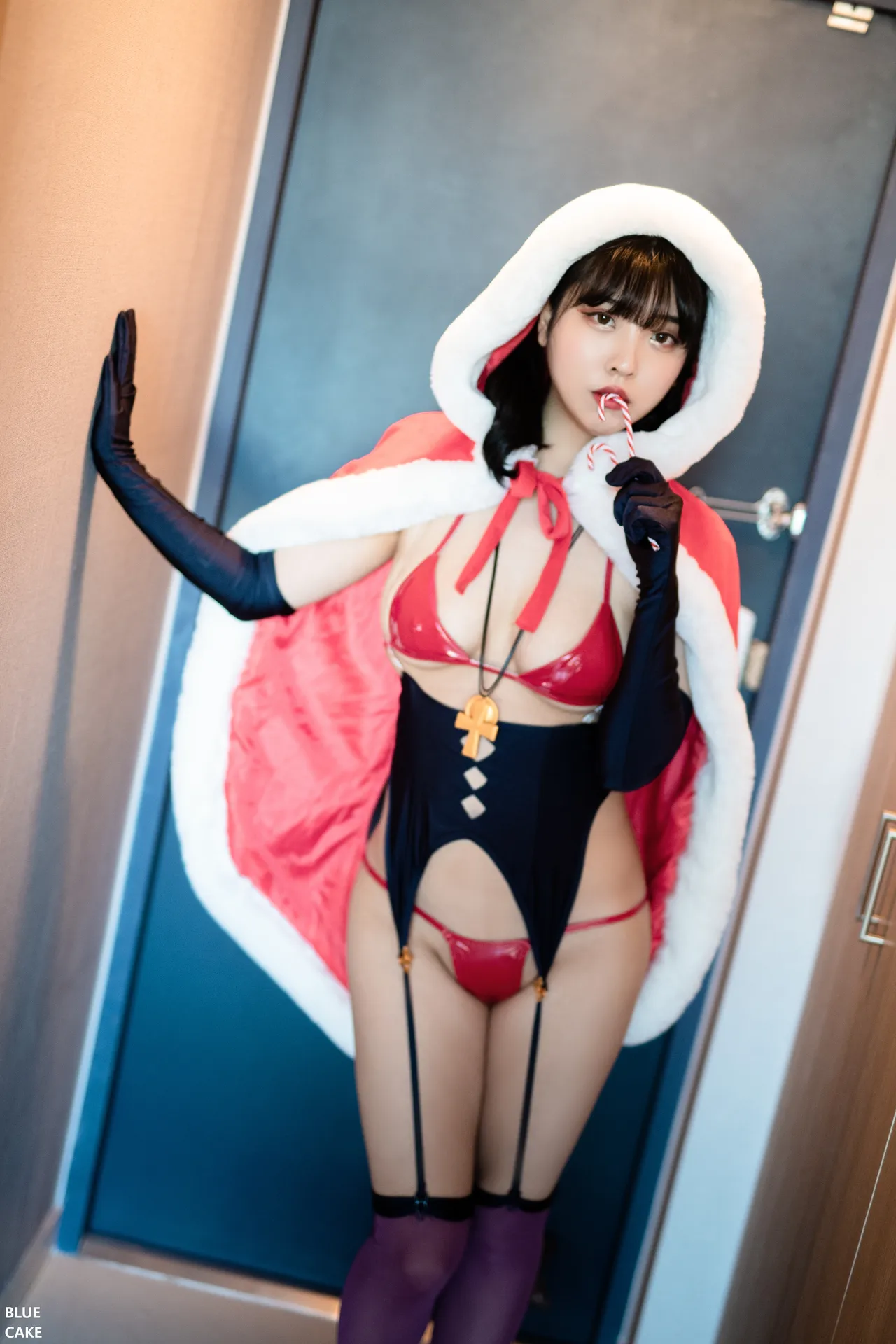 [BLUECAKE] XMas Figure [62P]