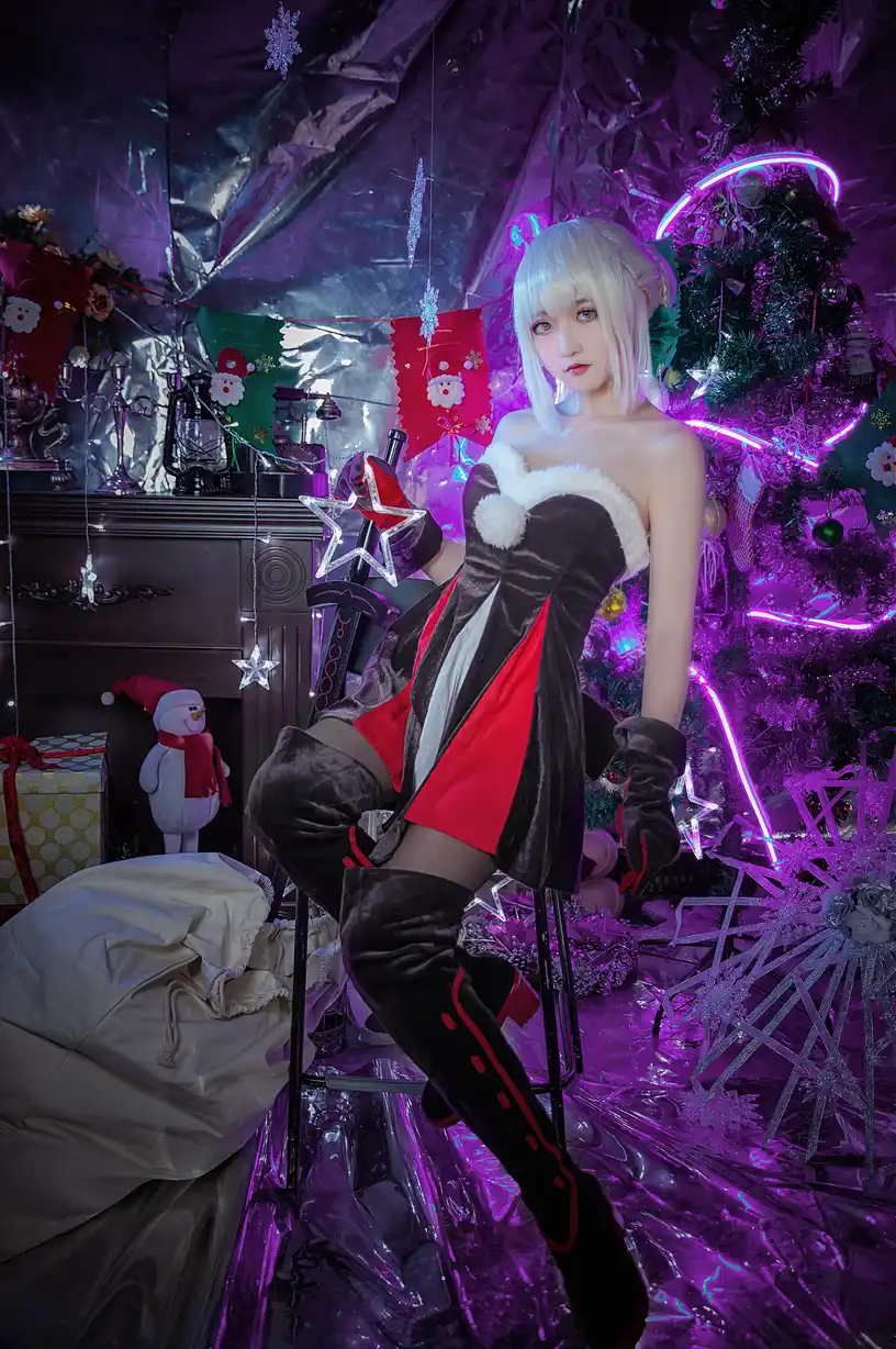 阿尔托莉雅 圣诞alter [16P]