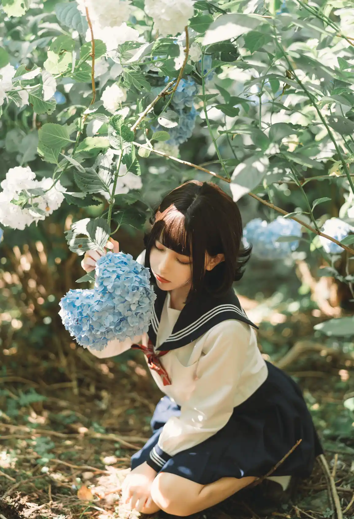 紫阳花 [25P]