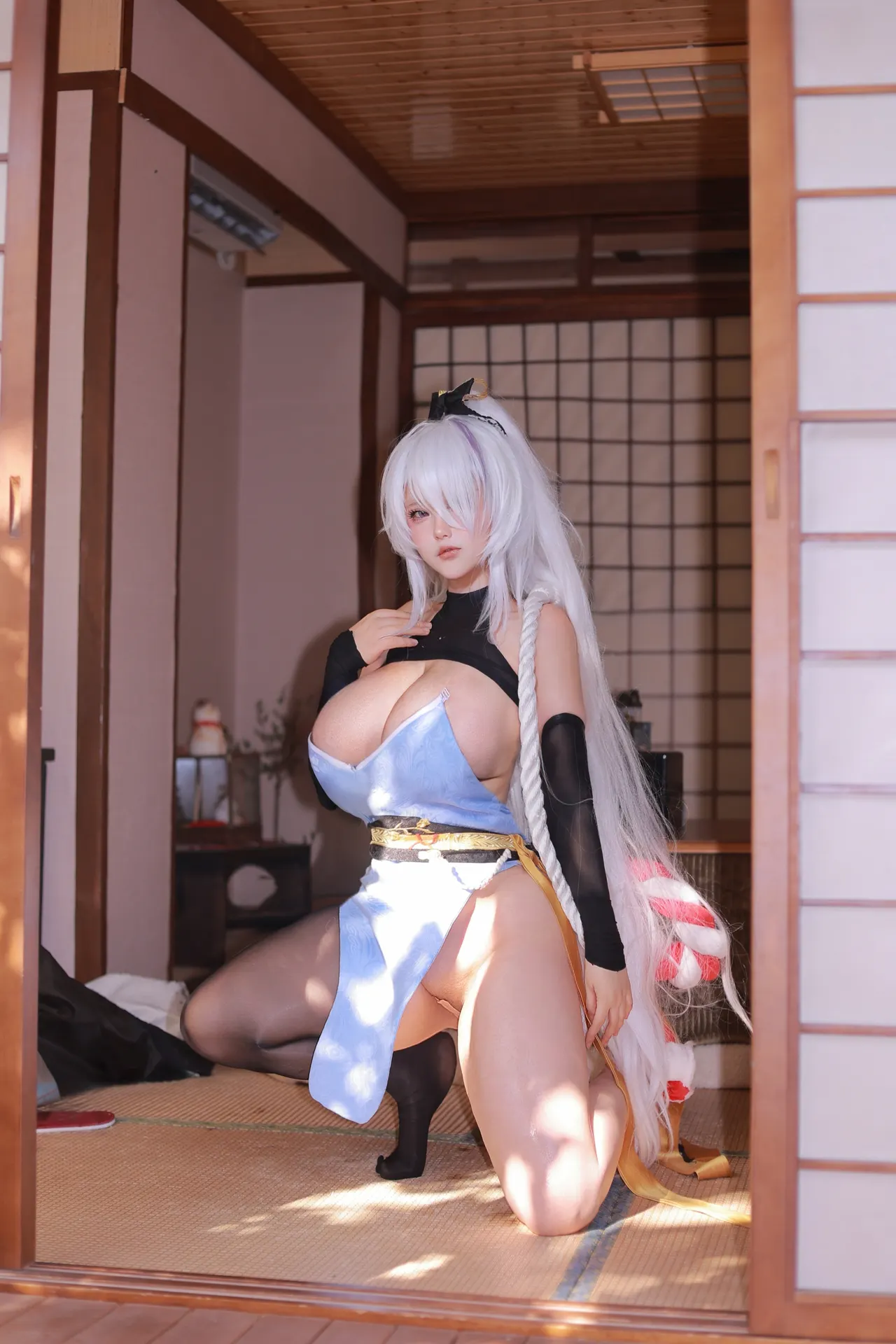 碧蓝航线 云仙旗袍 [289P 5V]