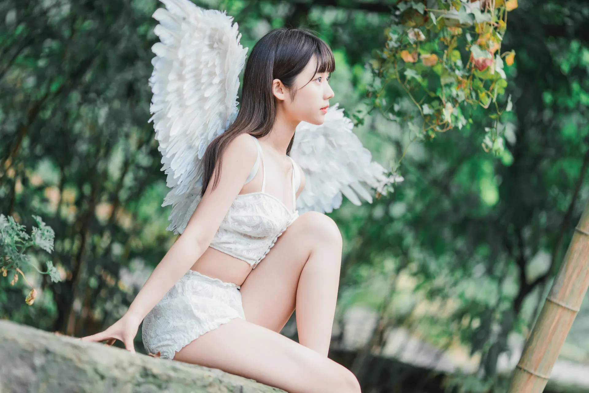 – 梦境 空镜 [88P]